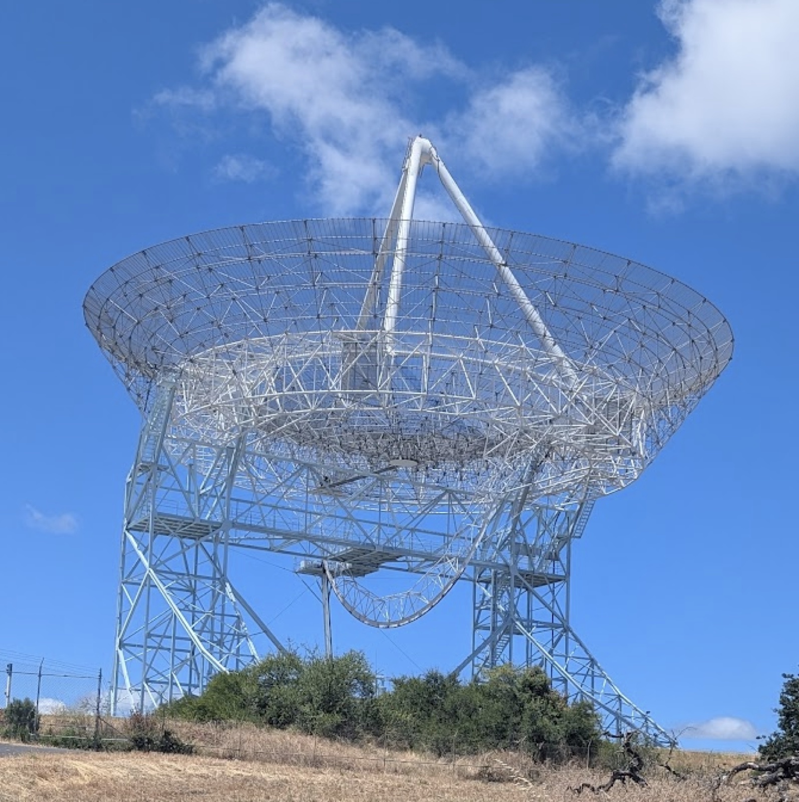 The Stanford Dish